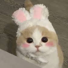 ธนาพล สิงห์ทอง avatar